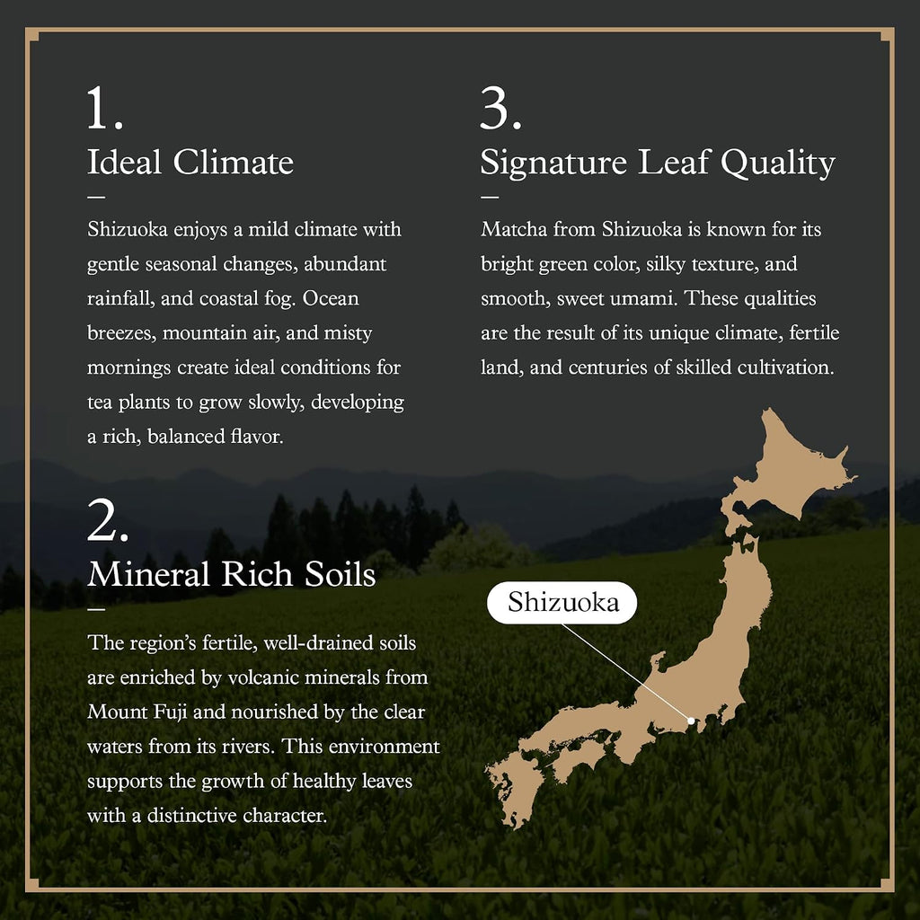 Ocha & Co. Shizuoka Matcha - Ceremonial Grade