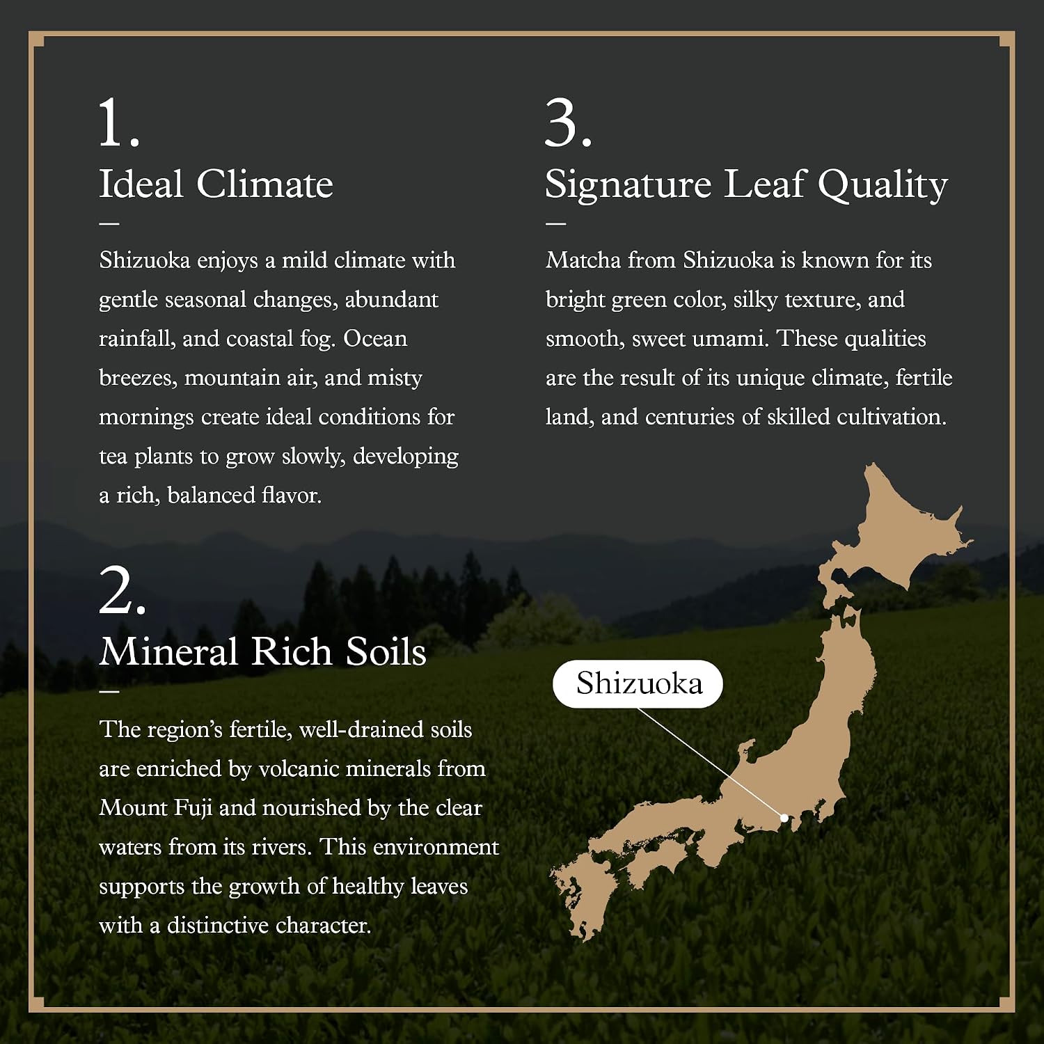 Ocha & Co. Shizuoka Matcha - Ceremonial Grade